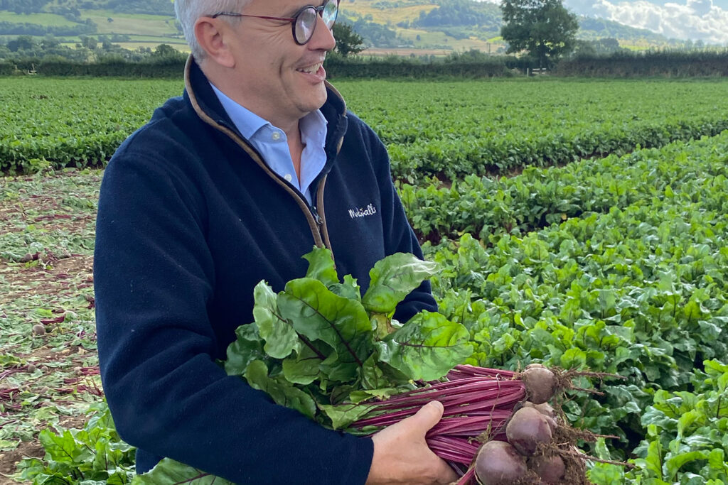 Brilliant fresh bunched beetroot