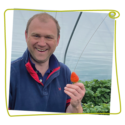 Man holding strawberry  smiling on a farm
