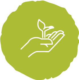 Icon of a hand holding a plant