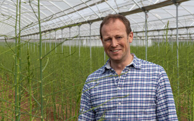 British Grower Partner Showcase – Chinn at Cobrey farms